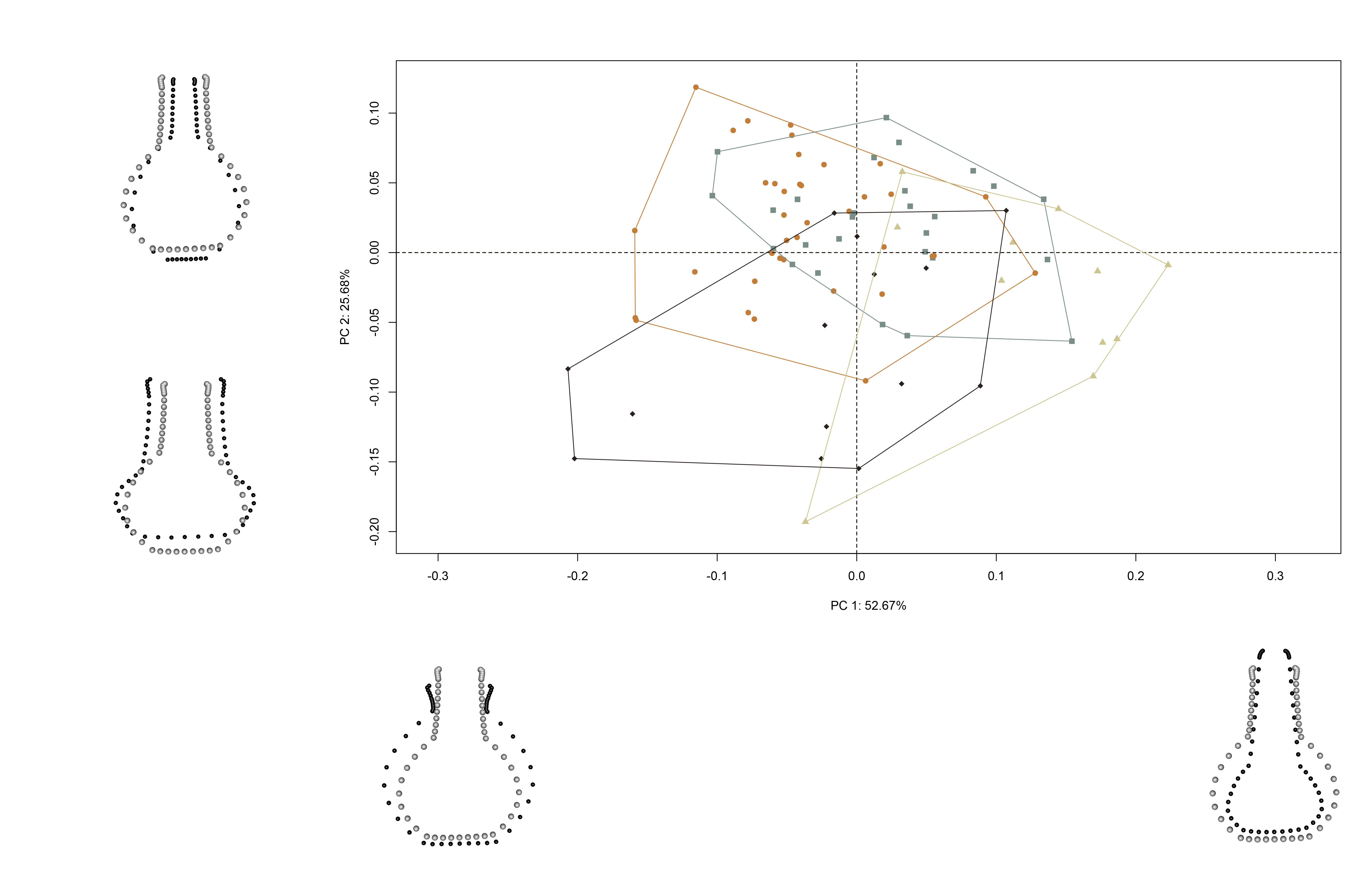 Results of PCA summarising shape variation in the aggregated sample; gray, north-formative/early; orange, north-late/historic; brown, south-formative/early; and black, south-late/historic; with mean shapes (gray) contrasted with max/min shapes (black).